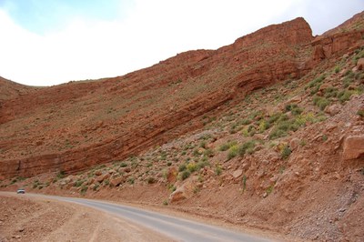 Upper Gorges du Todra