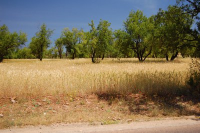 R304 west of Azilal